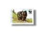 Wildlife protection Asiatic Black Bear
