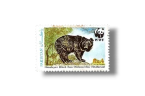 Wildlife protection Asiatic Black Bear