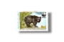 Wildlife protection Asiatic Black Bear