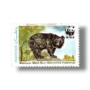 Wildlife protection Asiatic Black Bear