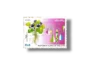 Medicinal Plants violet