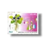 Medicinal Plants violet