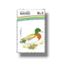 Water Birds Mallard