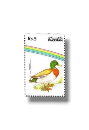 Water Birds Mallard
