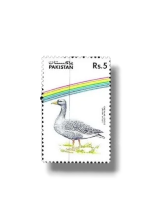 Water Birds Greylag Goose