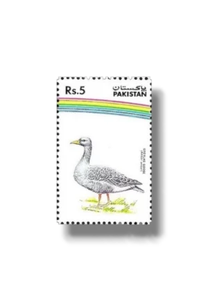 Water Birds Greylag Goose
