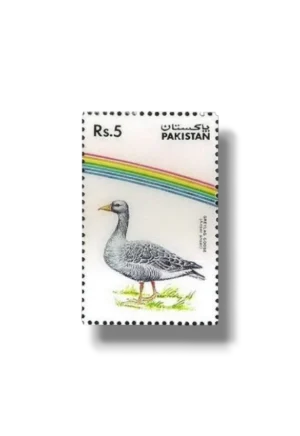 Water Birds Greylag Goose