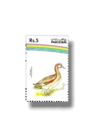 Water Birds Gadwal