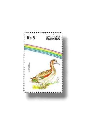 Water Birds Gadwal