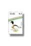 Water Birds Common Shelduck