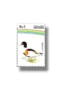 Water Birds Common Shelduck