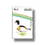 Water Birds Common Shelduck