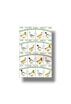 Water Birds set