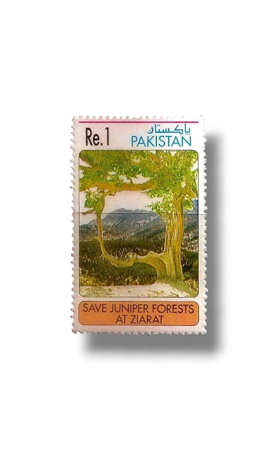 Campaign to Save the Juniper Forest Ziarat