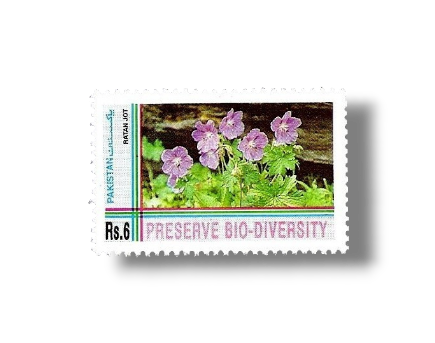 Biological Diversity Convention Ratan Jot ( flower )