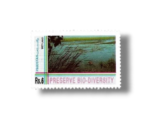 Biological Diversity Convention Wetlands habitat