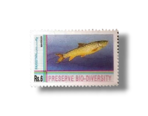 Biological Diversity Convention Golden Mahseer