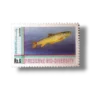 Biological Diversity Convention Golden Mahseer