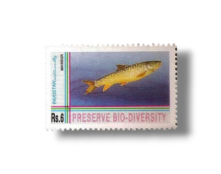 Biological Diversity Convention Golden Mahseer