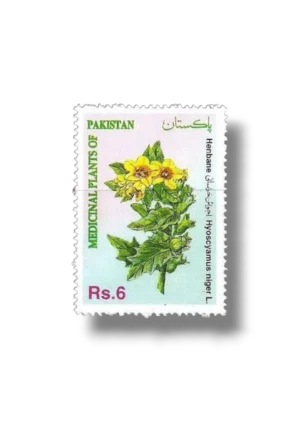 Medicinal Plants Henbane