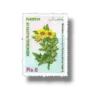 Medicinal Plants Henbane