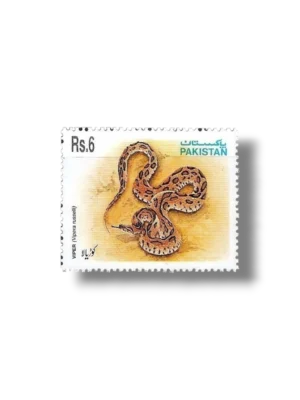 1995 PK956 Snakes
