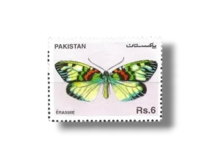 Butterflies Moth (Erasmia pulchella)