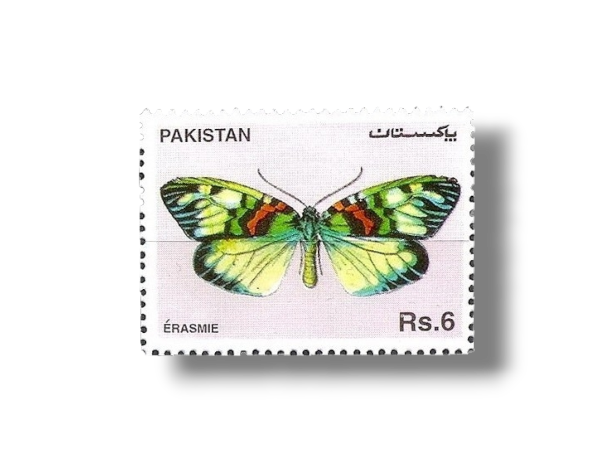 1995 PK967 Butterflies Moth (Erasmia pulchella)