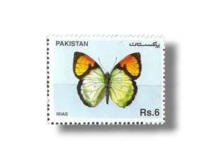 Butterflies Yellow Orange Tip (Ixias pyrene)