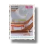1995 PK994 National Water Sports Gala Local punts