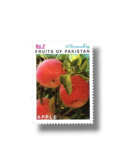 Fruits of Pakistan Apple