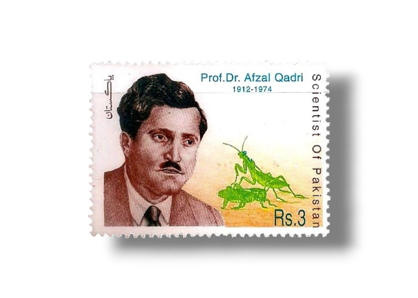 25th Death Anniv of Dr. Afzal Qadri