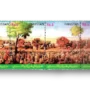 Sarfaroshaane Tehreeke Pakistan