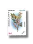 Medicinal Plants Liquorice