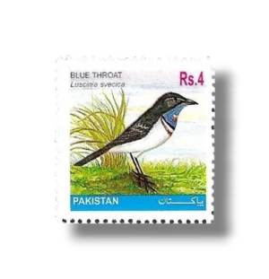 Bluethroat Luscinia svecica