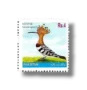 Eurasian Hoopoe Upupa epops