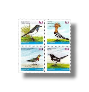Oriental Magpie-robin