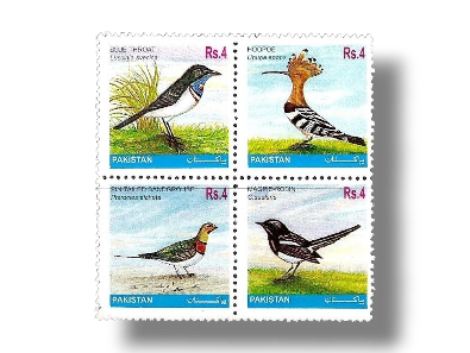 2001 PK1148s Birds