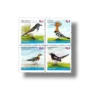 2001 PK1148s Birds