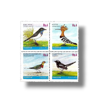2001 PK1148s Birds
