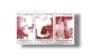 125th Birth Anniv of Mohammad Ali Jinnah Quaid-e-Azam Full Set