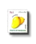 Mangos Chaunsa
