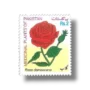MEDICINAL PLANTS OF PAKISTAN SERIES ROSA DAMASCENE Rose Gul e Surkh