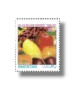 US$10 Billion Exports Fruits