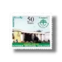 Golden Jubilee of Khyber Medical College Peshawar