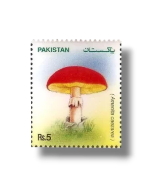 Mushrooms