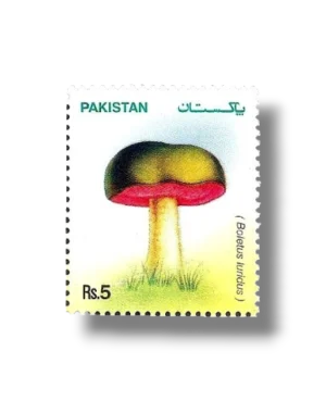 Mushrooms