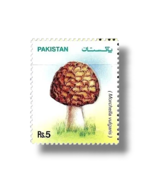 Mushrooms
