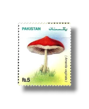Mushrooms