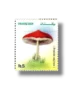 Mushrooms
